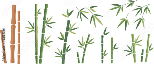 Bamboo stalk and leaf vector illustration, green and brown bamboo, segmented stems, botanical design, cartoon style, white background, nature element