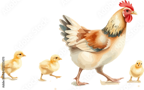 Watercolor vector illustration a hen with chickens.