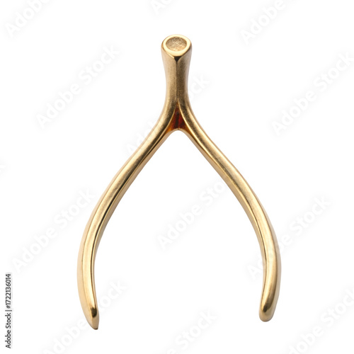 Golden Wishbone on Black Background fortune luck