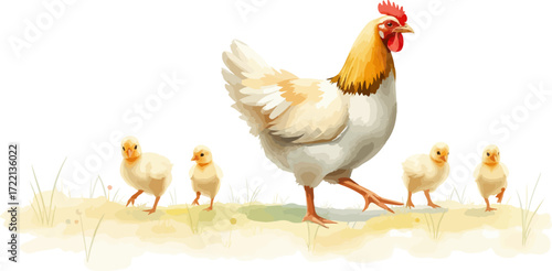 Watercolor vector illustration a hen with chickens.