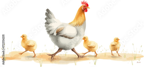 Watercolor vector illustration a hen with chickens.