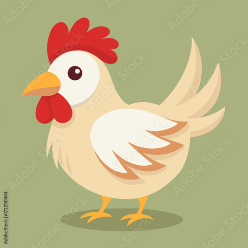 chicken vector illustration