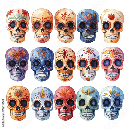 Mexican Sugar Skulls, watercolor drawing vector, isolated on a white background.