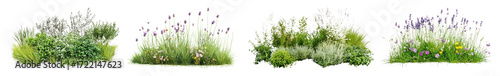 PNG Lush floral garden arrangement beauty, element set on transparent background