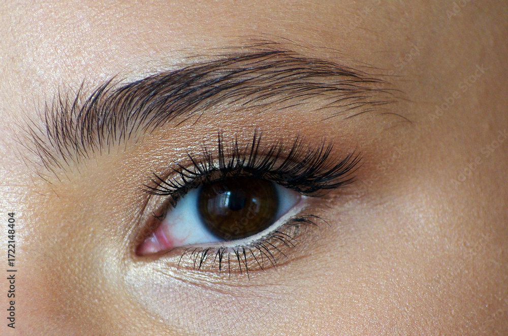Obraz premium Close up of beautiful female eye