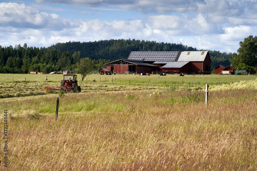 Fototapeta premium Red Tractor Harvesting Hay in Rural Scandinavian Landscape with Traditional Farm Buildings, Dollar Panels, and Countryside Backdrop Near Håverud, Sweden