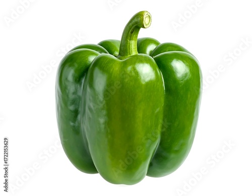 Single vibrant green bell pepper