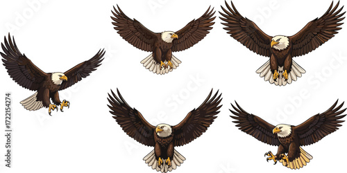 Bald eagle illustration, flying eagle pose, majestic raptor in motion, powerful wingspan, bird of prey, nature theme, vector drawing, freedom symbol