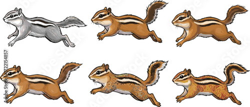 Cartoon chipmunk running poses, tribal and spotted patterns, wildlife vector clipart, nature design, cute rodent illustration, stock character set
