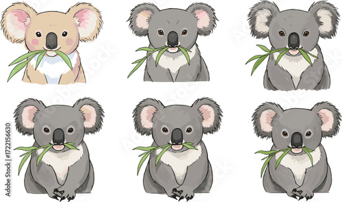 Cartoon koala illustration, cute animal pose, eucalyptus leaf chewing, playful koala characters, gray and beige fur, nature theme, vector drawing, character design
