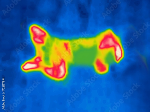 A sleeping man. Sleeping on your back. Image from thermal imager device.