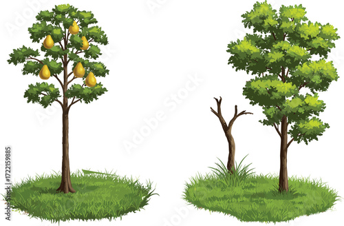 Pear tree with yellow fruit, green leafy tree, dormant branch, grassy patch, seasonal vegetation illustration, nature landscape, botanical diversity, environmental plant scene
