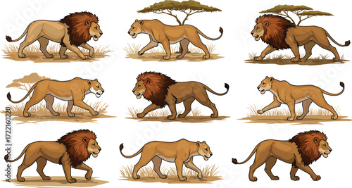 Cartoon lions, lionesses, savanna animals, walking poses, wildlife illustration, African habitat, vector art, acacia trees, nature clipart, majestic creatures, jungle theme,