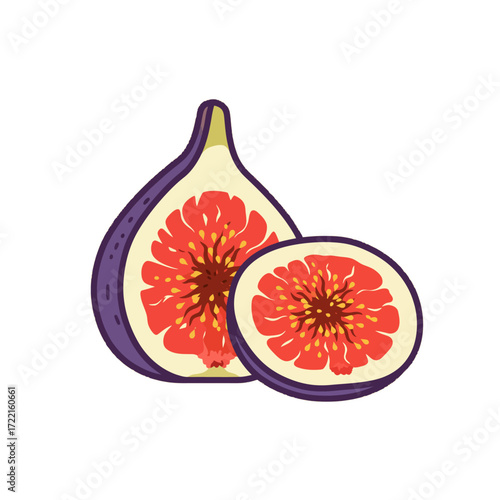 Fresh figs halved with seeds food drawing isolated on white healthy eating
