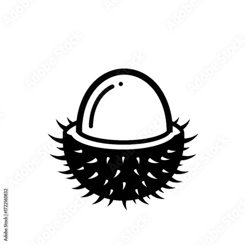 Rambutan Fruit Black and white drawing Tropical fruit with spiky shell Exotic food concept