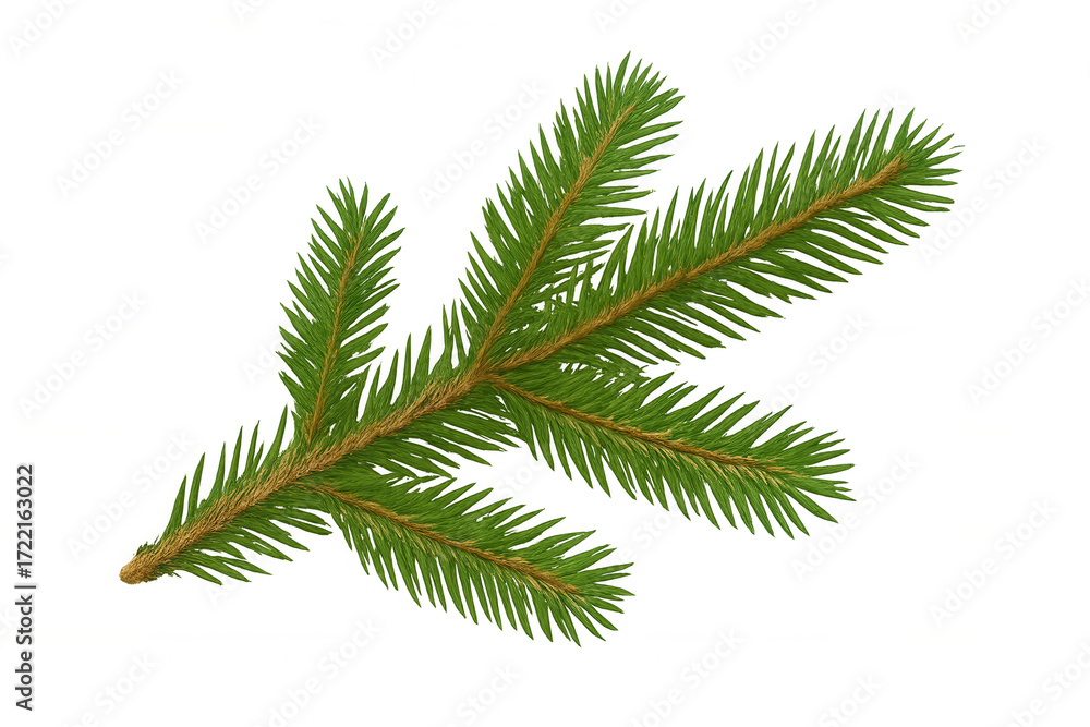 Naklejka premium Evergreeen branch with green needles symbolizing christmas, winter holidays, and festive season, transparent background
