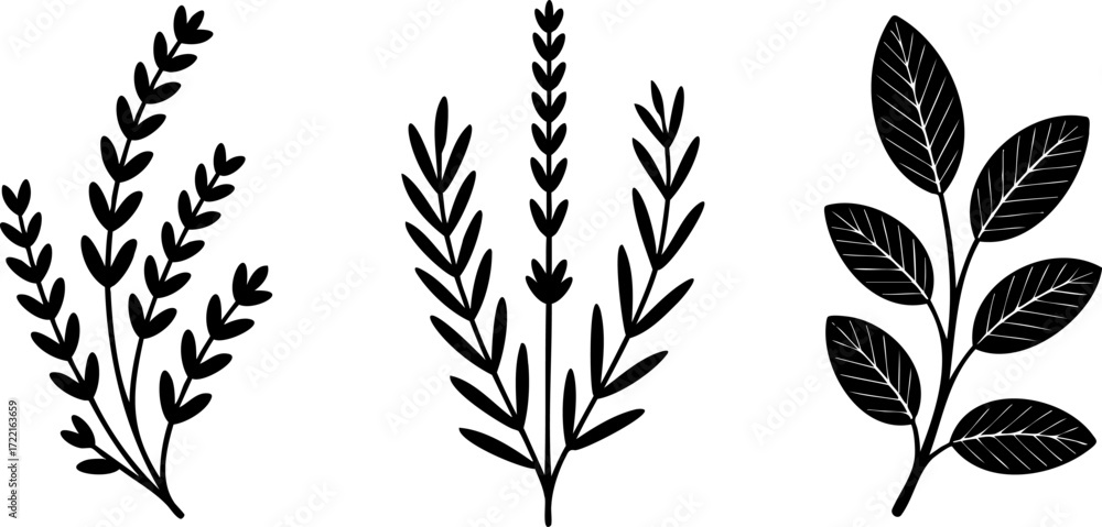 Fototapeta premium Elegant Black and White Floral Design with Minimalist Style for Backgrounds