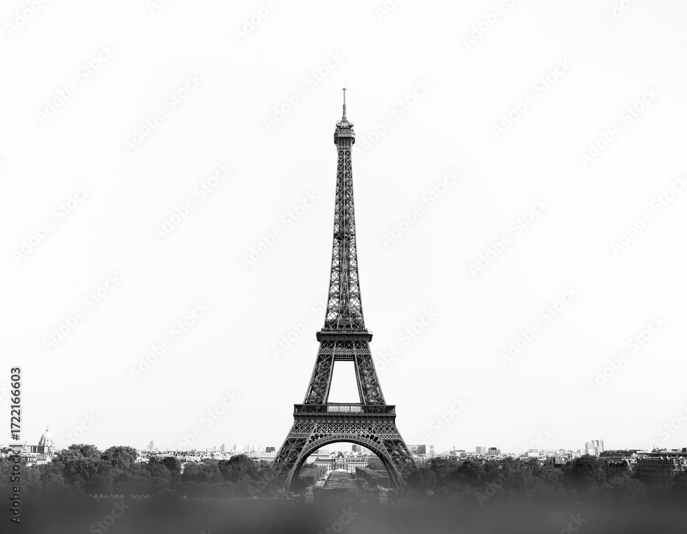Obraz premium Paris, France: Eiffel tower 