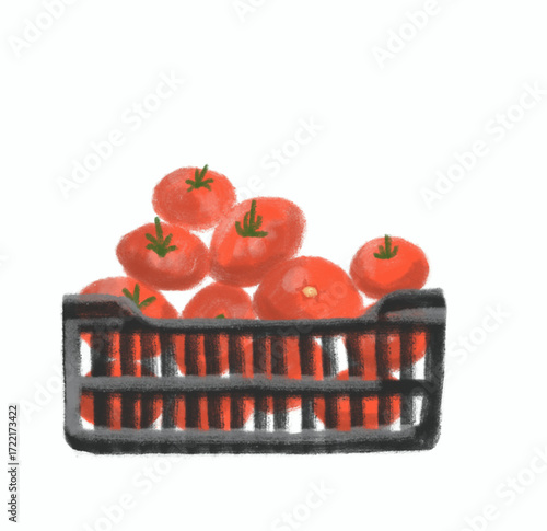 Tomatoes in a basket - Market illustration vector - Tomatoes sold in the market - Food illustration