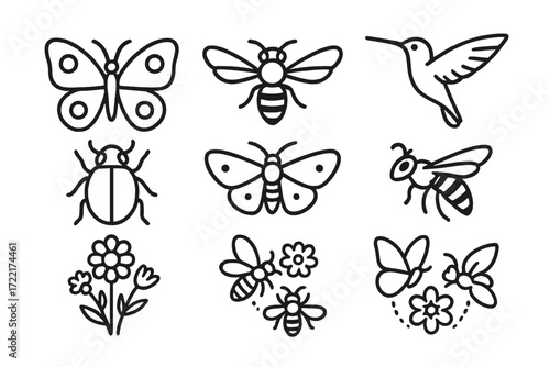 Pollinator Diversity Icons. Line style icons of pollinator diversity: butterfly, hoverfly, hummingbird, beetle, moth, wasp, native