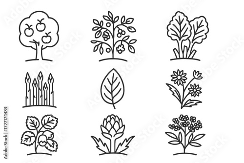 Perennial Plant Icons. Line style icons of perennial plants: fruit tree, berry bush, rhubarb crown, asparagus patch, comfrey leaf,