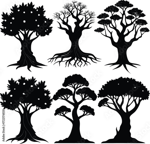 Six Tree Silhouettes with Unique Branching and Root Structures a Forest Diversity