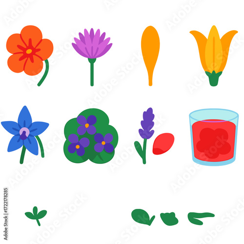 Edible Flower Icons. Flat vector icons of edible flower and gourmet plants: nasturtium flower, chive blossom, calendula petal icon