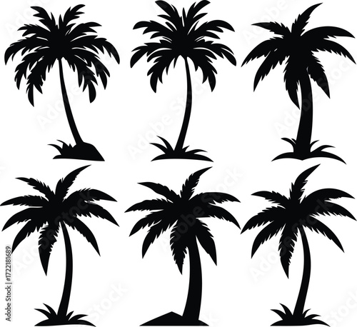 Black Silhouette Set of Tropical Palm Trees in Various Styles