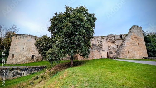 COUCY-LE-CHATEAU-AUFFRIQUE (Aisne)