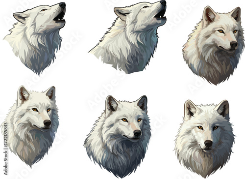 White wolf illustration set, expressive animal portraits, head pose variation, fur texture detail, wildlife sketch, character design, nature drawing, anatomy  wolf illustration set, expressive animal 
