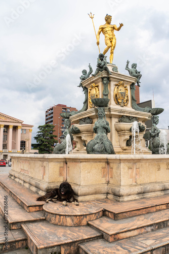 Batumi, Georgia - August 28, 2025: Stray dog at Neptune Fontain in front of Batumi Theater