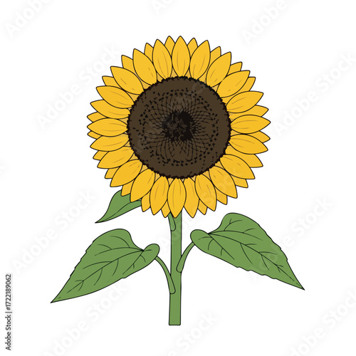 Vibrant sunflower with yellow petals and a dark center stands tall.