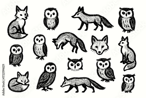 Black and white sketches of owls and foxes in various poses and expressions