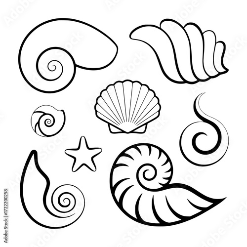 Collection of Black and White Seashell and Starfish Illustrations