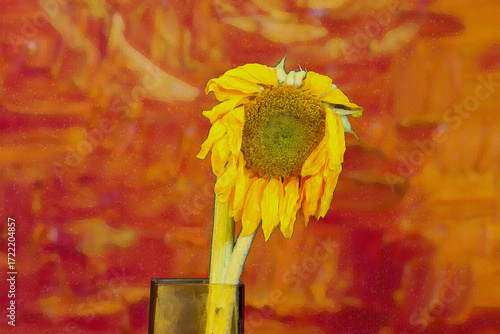 Valokuva Droopy Head Sunflower