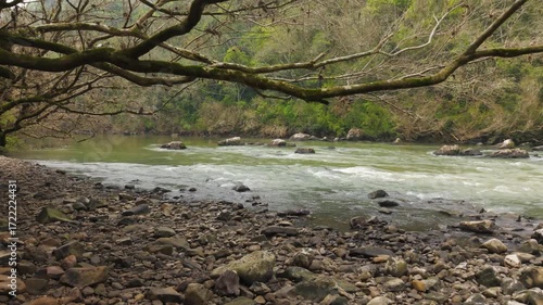 Rushing green river flowing amid trees and rocks. Slow motion. Irani river. 4K. Aerial. Drone.