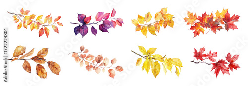 Wallpaper Mural PNG Vibrant watercolor autumn leaves, element set on transparent background Torontodigital.ca