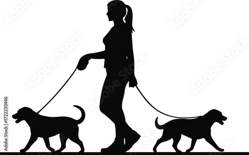 Silhouette of woman walking two dogs on leash, outdoor pet care, fitness lifestyle, companionship, daily exercise, healthy activity, park walk