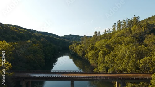 Cars passing over a bridge. Green river amid trees on a sunny day. Irani river. 4K. Aerial. Drone.