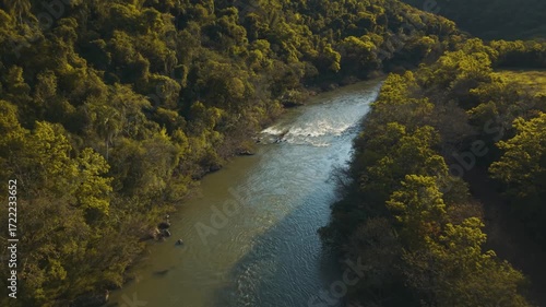 Green river in the forest on a sunny day. Irani river. 4K. Aerial. Drone.