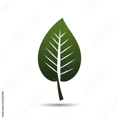 Realistic Dark Green Tropical Leaf Texture