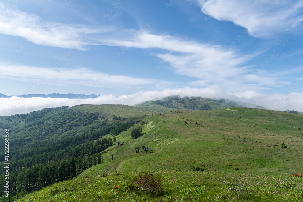 Naklejka premium 爽やかな夏の高原 霧ヶ峰 