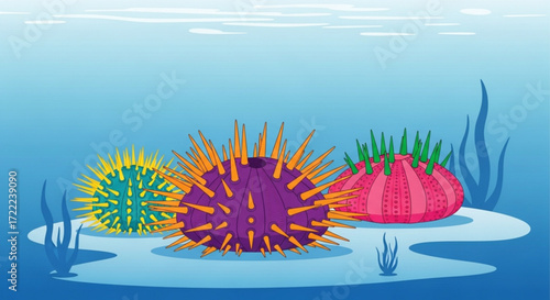 Illustration of three colorful sea urchins with spines on a seabed in a blue underwater scene