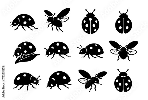 Silhouette ladybug set featuring diverse poses and styles in black and white