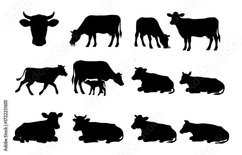 Cow silhouette collection: grazing, resting, and walking poses in flat style