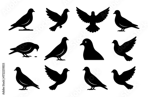 Silhouette collection of various pigeons in different poses on white background