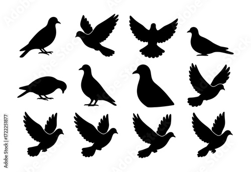 Silhouette collection of pigeons and doves in various poses