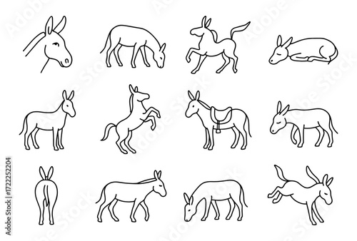Minimalist line art donkeys in various poses for creative design projects