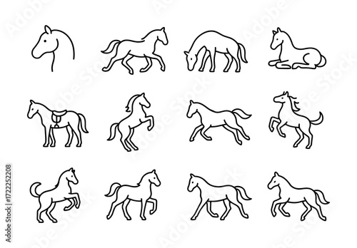 Set of horse outlines: galloping, grazing, trotting in simple linear style