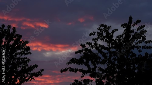 Silhouetted trees frame a dramatic twilight sky with deep blue clouds and vivid streaks of red, purple, and orange over a serene evening horizon as the light fades into nightfall
